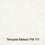 12 mm Staronplatte Tempest  Preisgruppe F Plattengröße 3680x760x12mm