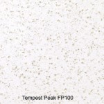 12 mm Staronplatte Tempest  Preisgruppe F Plattengröße 3680x760x12mm